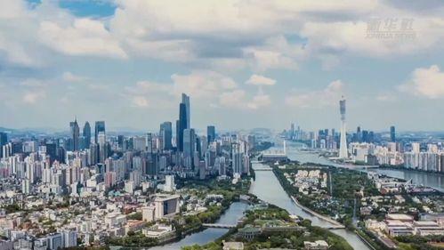 沂河新区爆料事件视频,视频揭露惊人真相