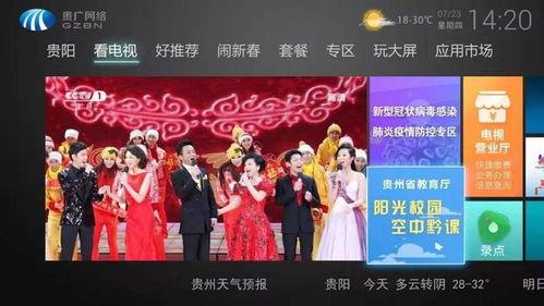 贵州台直播在线观看,实时领略多彩贵州风情